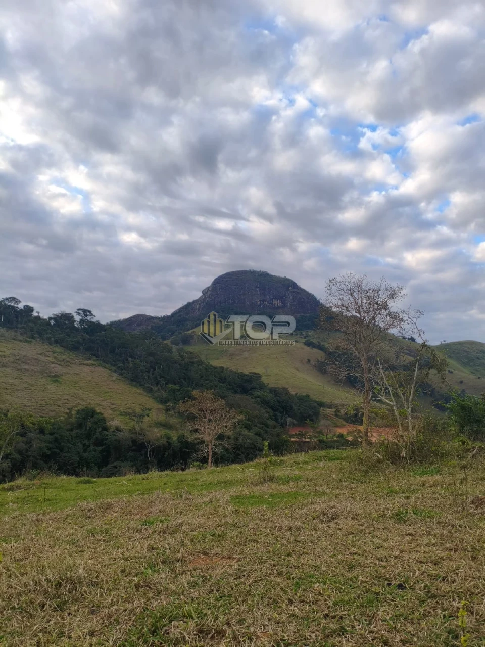 Imagens do imóveis SITIO P/ VENDA 6KM DE MURIAÉ