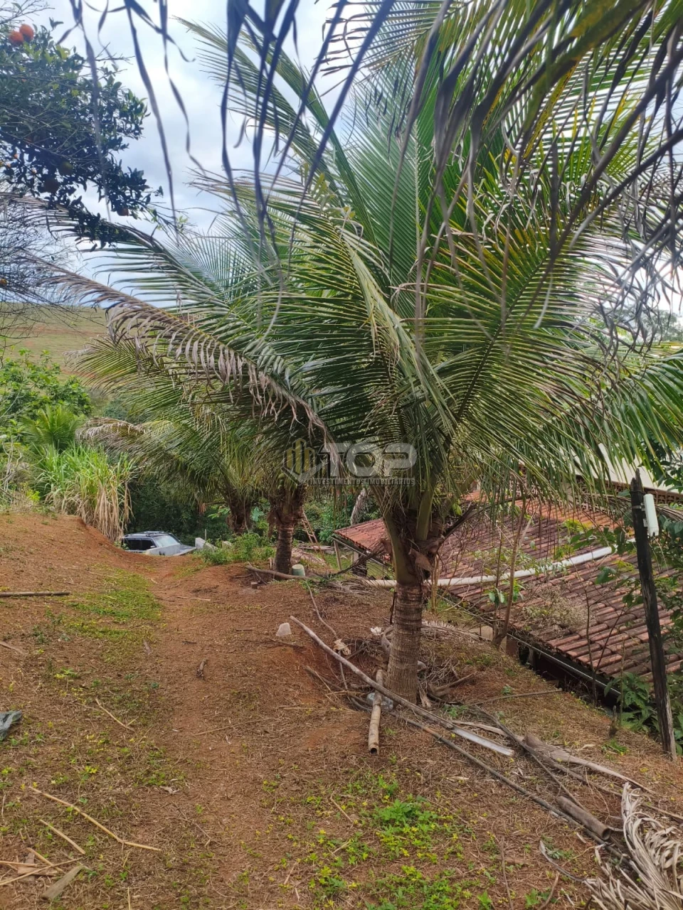 Imagens do imóveis SITIO P/ VENDA 6KM DE MURIAÉ