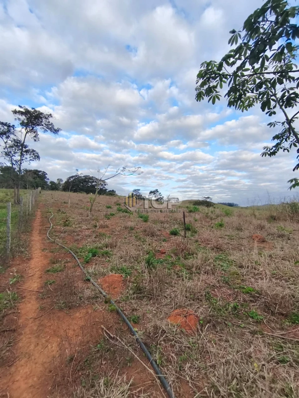 Imagens do imóveis SITIO P/ VENDA 6KM DE MURIAÉ