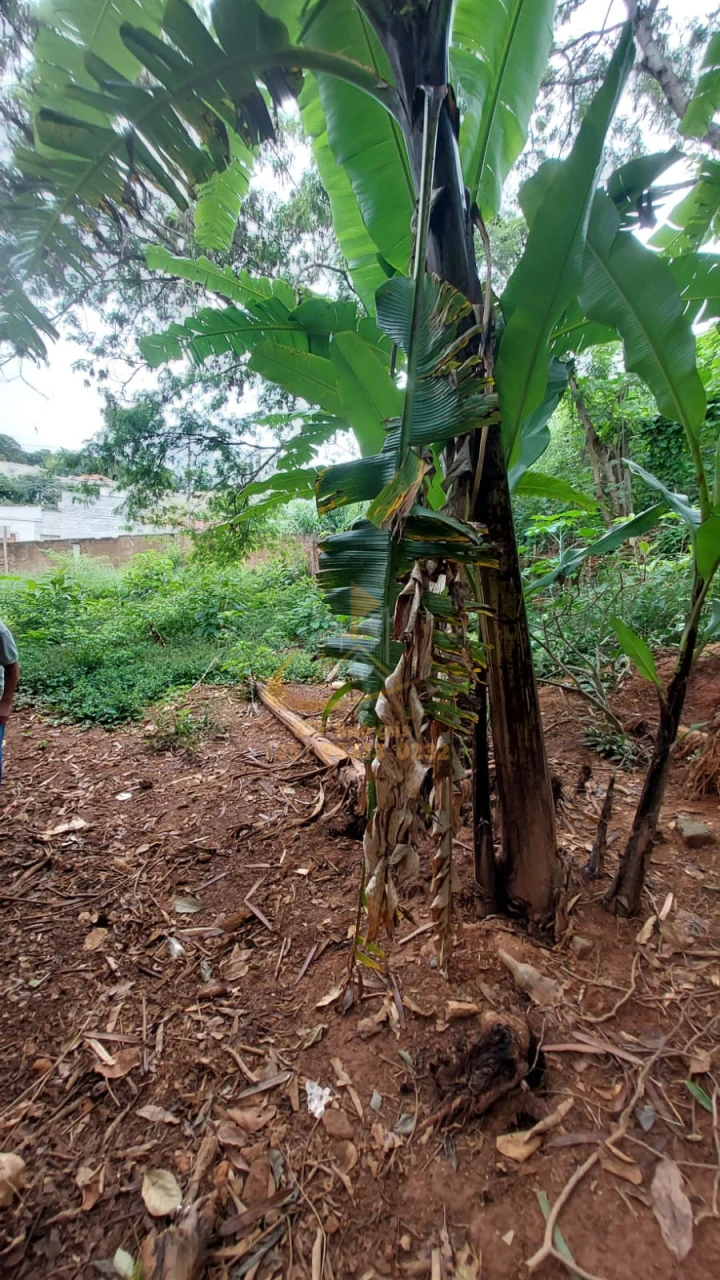 Imagens do imóveis TERRENO À VENDA +- 1040 METROS MURADO,  C/2  COMODOS E GARAGEM GRANDE - VL S FRANCISCO