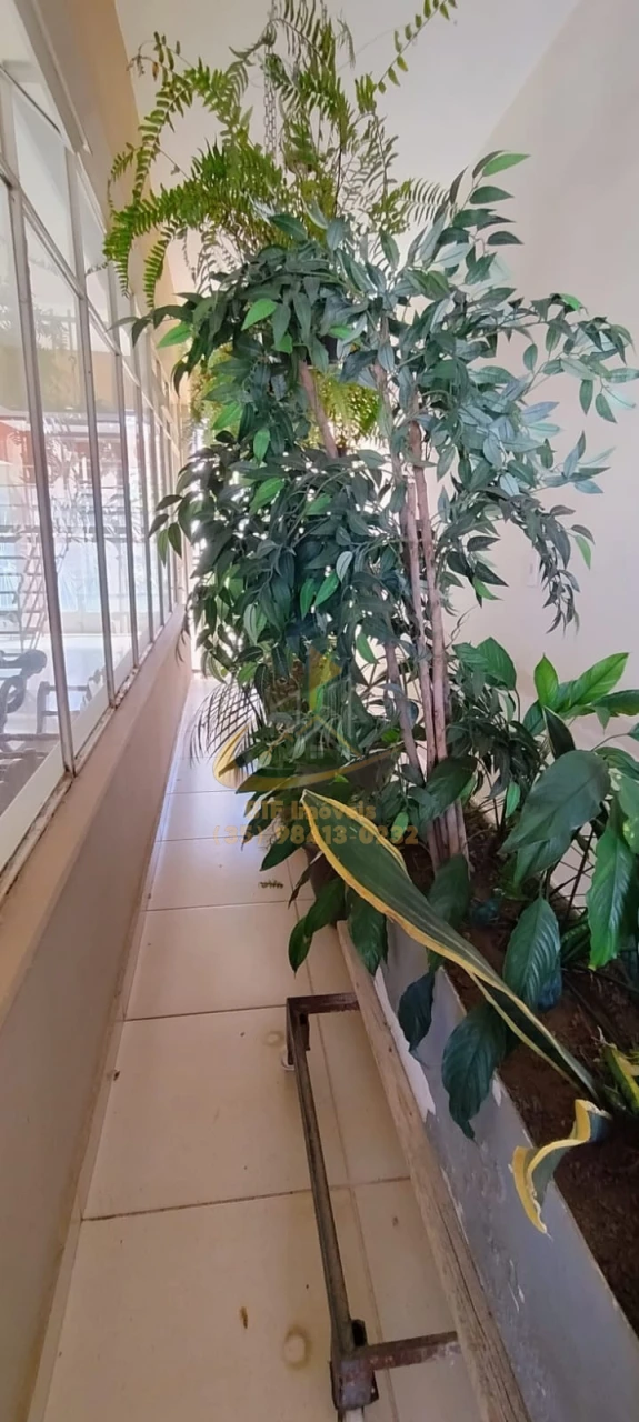 Imagens do imóveis casa venda Bairro Artur Bernardes 7quartos sendo 4 suites, varanda gourmet c churrasqueira,garagem,jardim