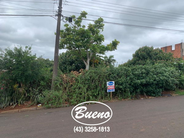 Imagens do imóveis Terreno Vila Esperança