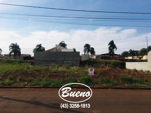 Imagens do imóveis Terreno Residencial das Palmeiras