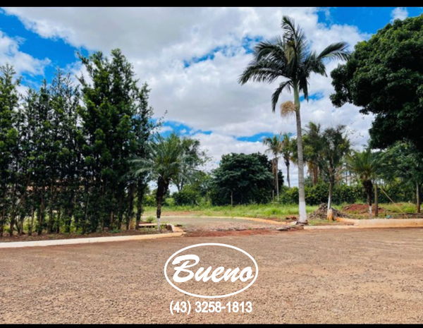 Imagens do imóveis Terreno Centro