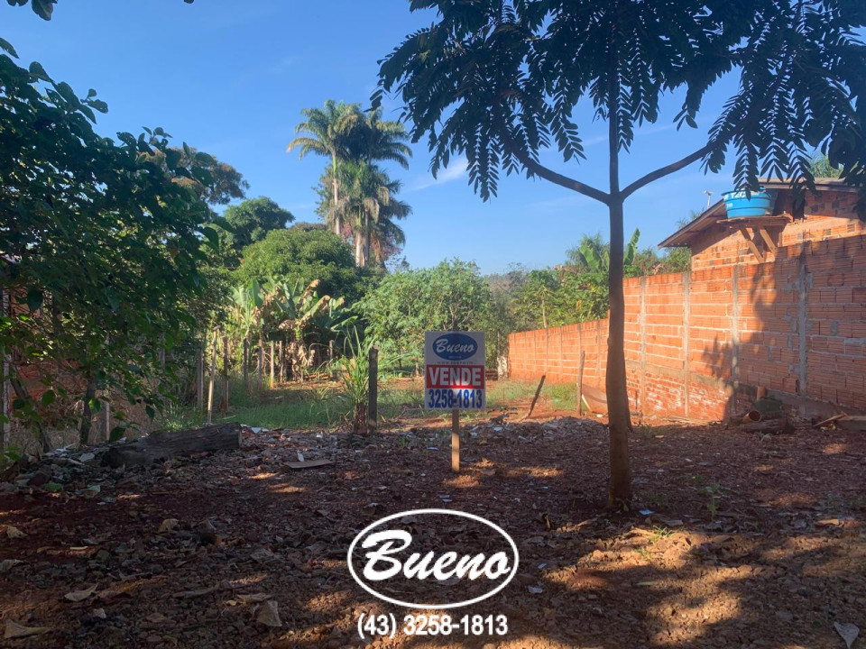 Imagens do imóveis Terreno no Balneario Tibagi