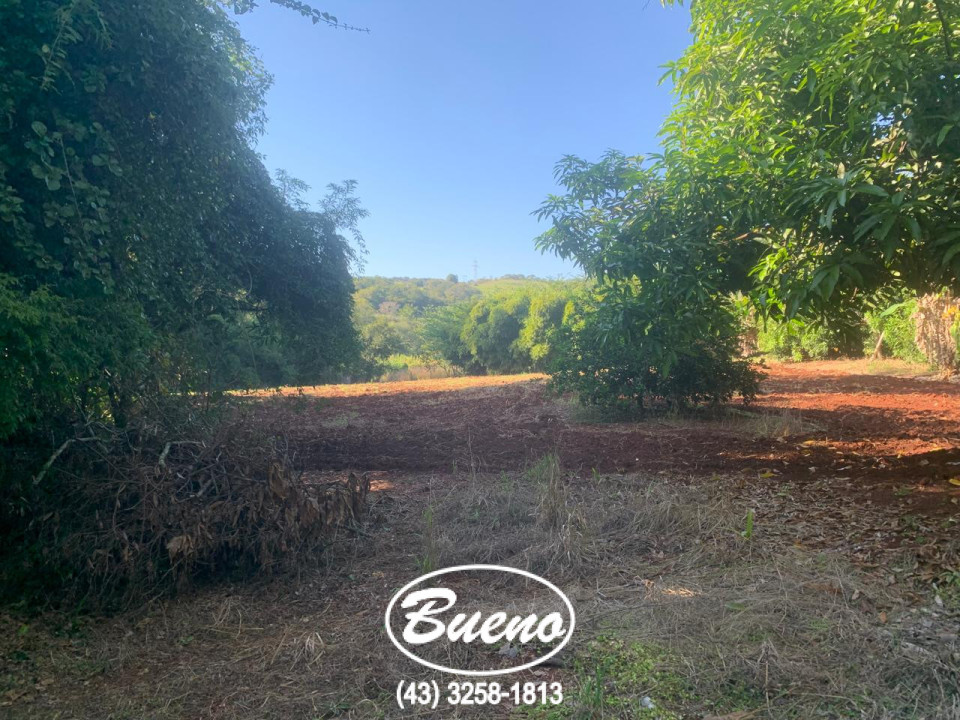 Imagens do imóveis Vende 2 Alqueires Próximo da Cidade