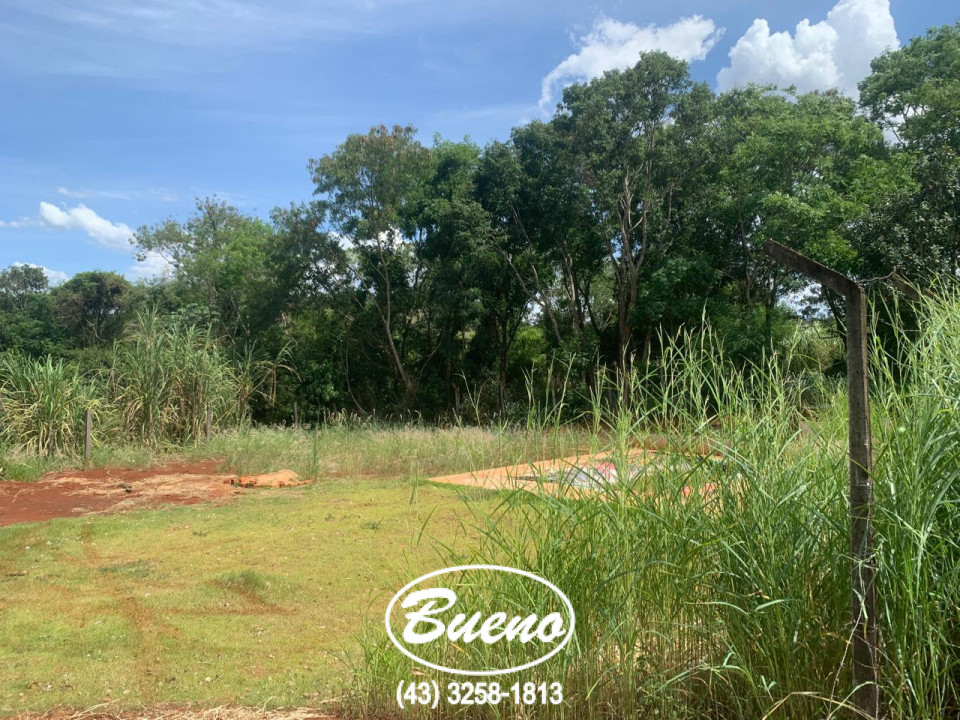 Vende Chácara Molhada de 2.266 Metros Imagens do imóveis Vende Chácara Molhada de 2.266 Metros