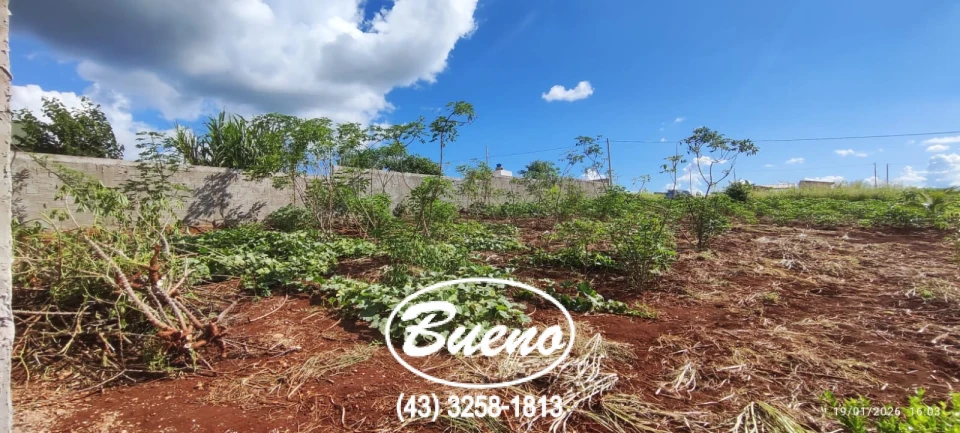 Imagens do imóveis Lote em Condomínio Próximo a Ilha do Baiano