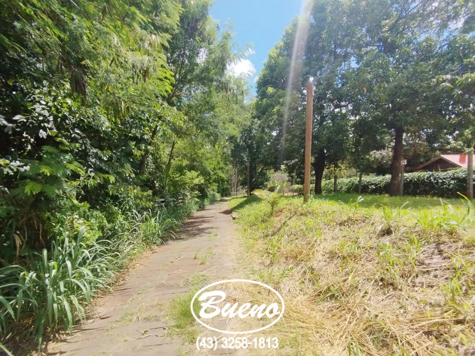Imagens do imóveis Venda Chácara Com Fundo Para o Rio Tibagi
