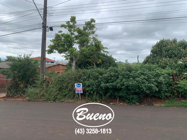 Imagens do imóveis Terreno Vila Esperança