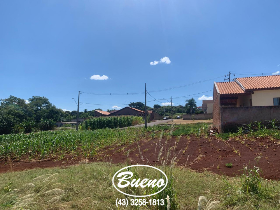 Imagens do imóveis Casa no Taquara do Reino Vende ou Troca