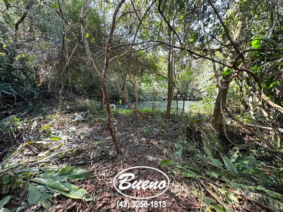 Vende Chácara Frente Para BR-369