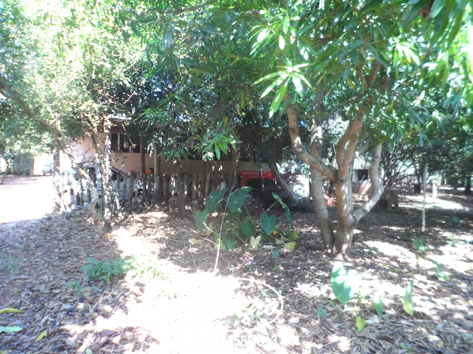 Imagens do imóveis Vende Chácara Gleba Jacutinga