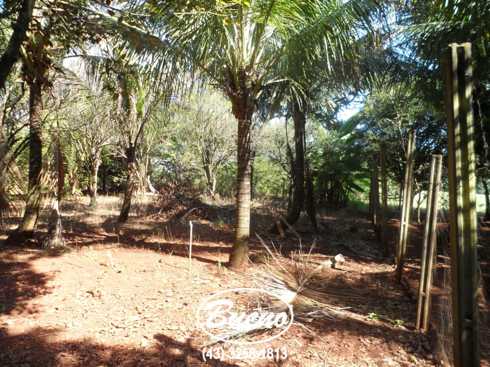 Imagens do imóveis Vende Chácara Gleba Jacutinga