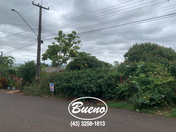 Imagens do imóveis Terreno Vila Esperança