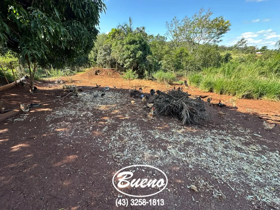 Vende Chácara Frente Para BR-369