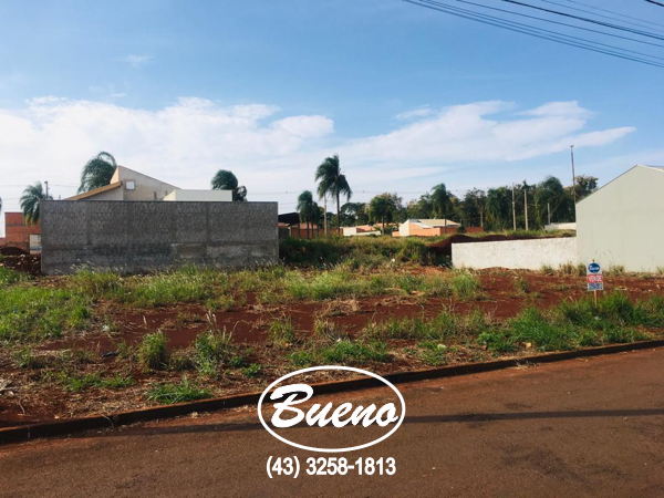 Imagens do imóveis Terreno Residencial das Palmeiras