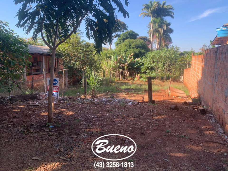 Imagens do imóveis Terreno no Balneario Tibagi