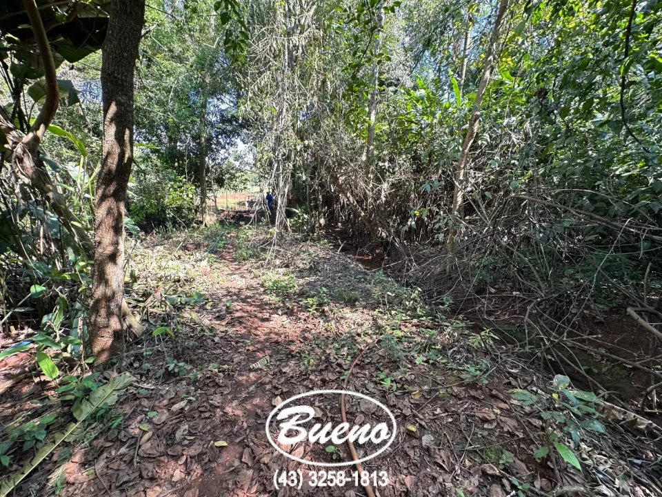 Vende Chácara Frente Para BR-369