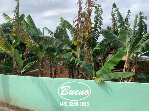 Imagens do imóveis Casa Vila Esperança