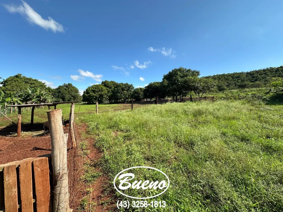 Vende Chácara Frente Para BR-369