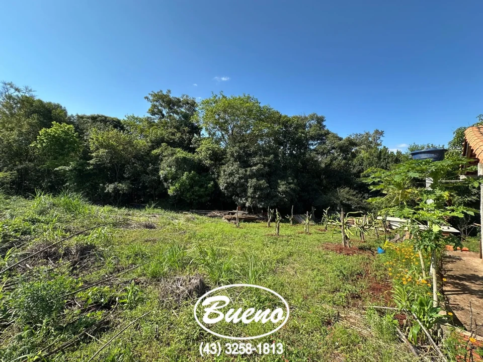 Vende Chácara Frente Para BR-369