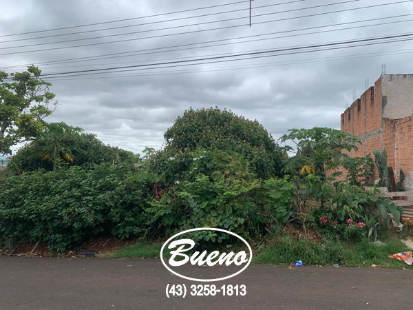 Imagens do imóveis Terreno Vila Esperança