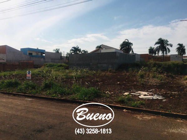 Imagens do imóveis Terreno Residencial das Palmeiras