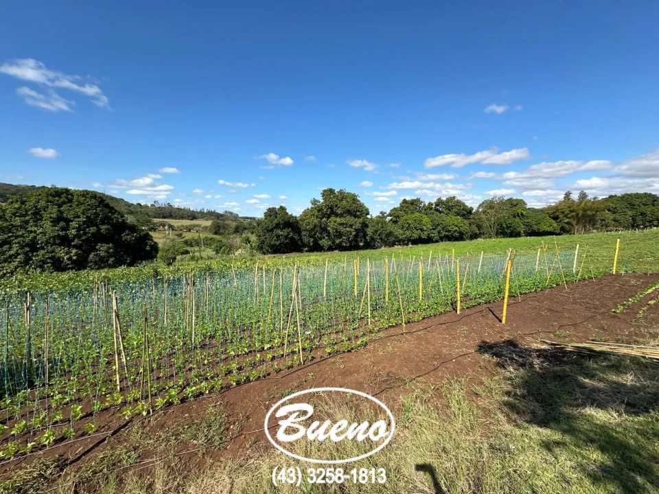 Vende Chácara Frente Para BR-369