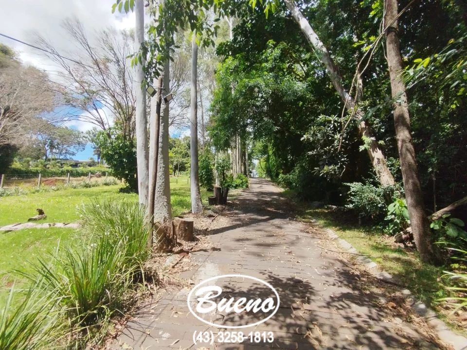 Imagens do imóveis Venda Chácara Com Fundo Para o Rio Tibagi