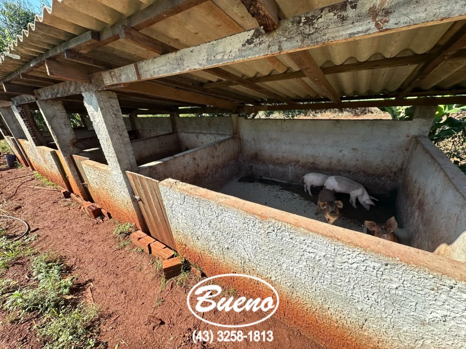 Vende Chácara Frente Para BR-369