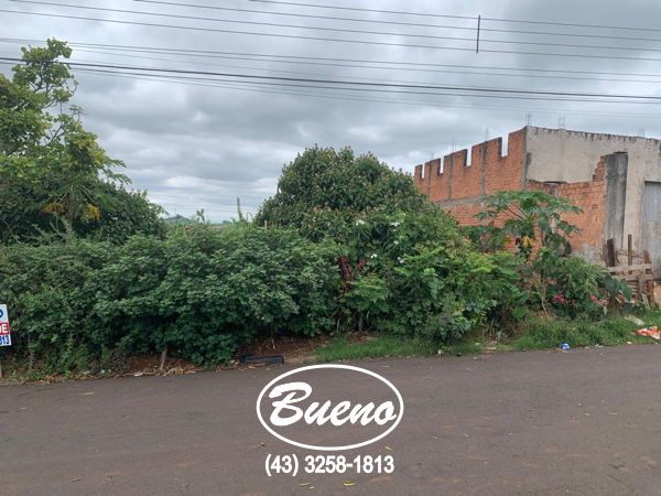 Imagens do imóveis Terreno Vila Esperança
