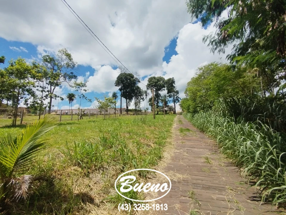 Imagens do imóveis Venda Chácara Com Fundo Para o Rio Tibagi