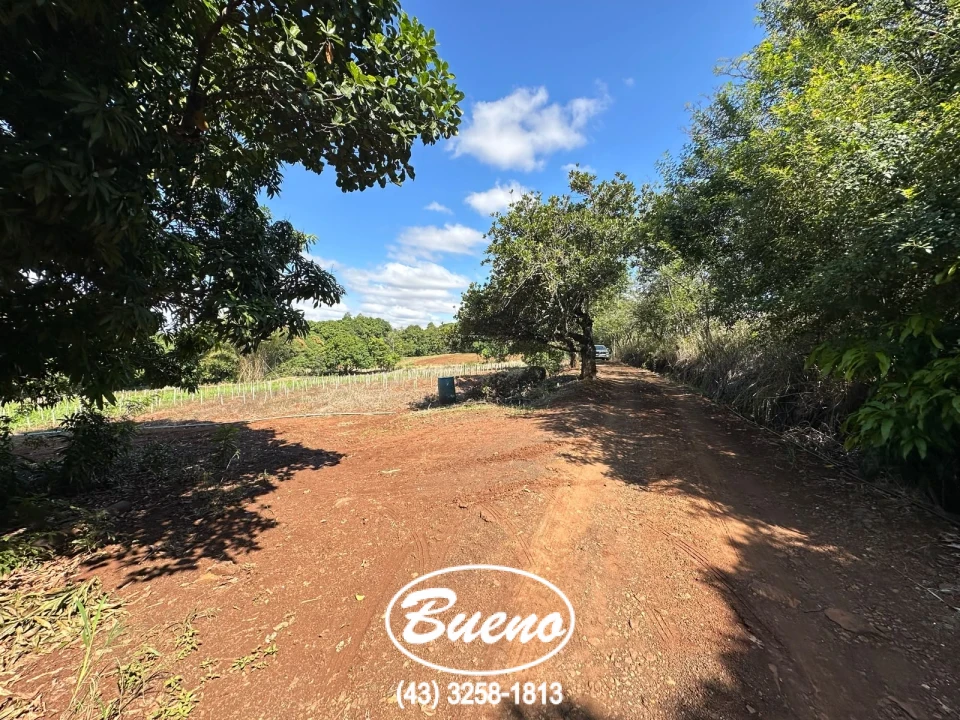 Vende Chácara Frente Para BR-369