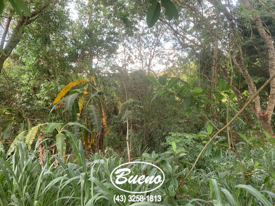 Vende Chácara Molhada de 2.266 Metros Imagens do imóveis Vende Chácara Molhada de 2.266 Metros