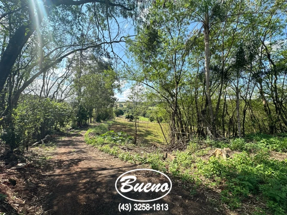 Vende Chácara Frente Para BR-369