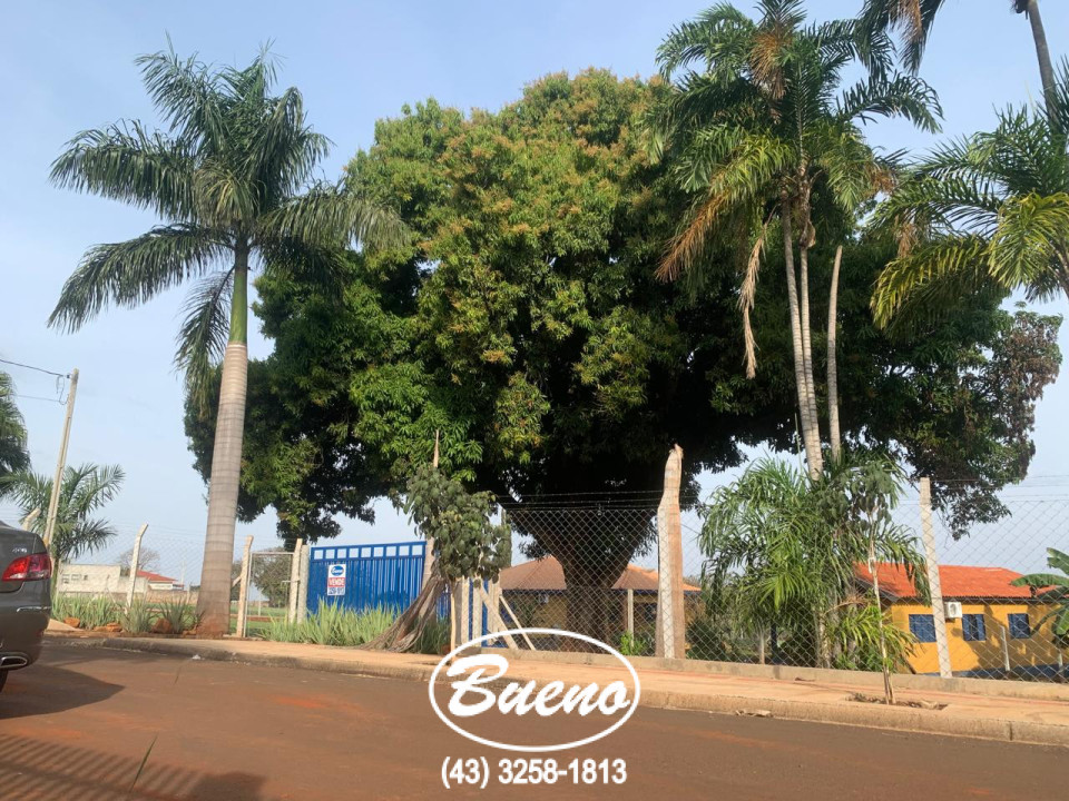 Linda Chácara à Venda em Sertanópolis Imagens do imóveis Linda Chácara à Venda em Sertanópolis