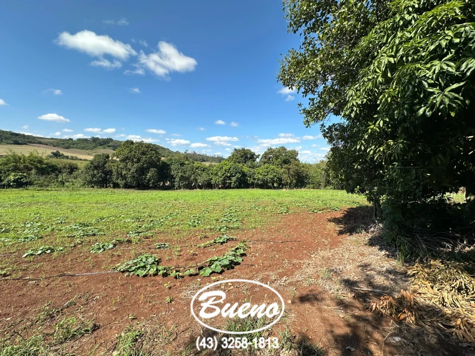 Vende Chácara Frente Para BR-369