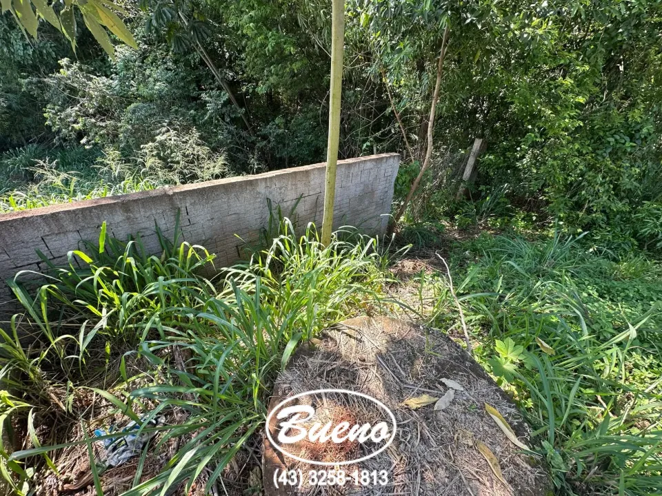 Imagens do imóveis Vende Terreno 2.543 Metros