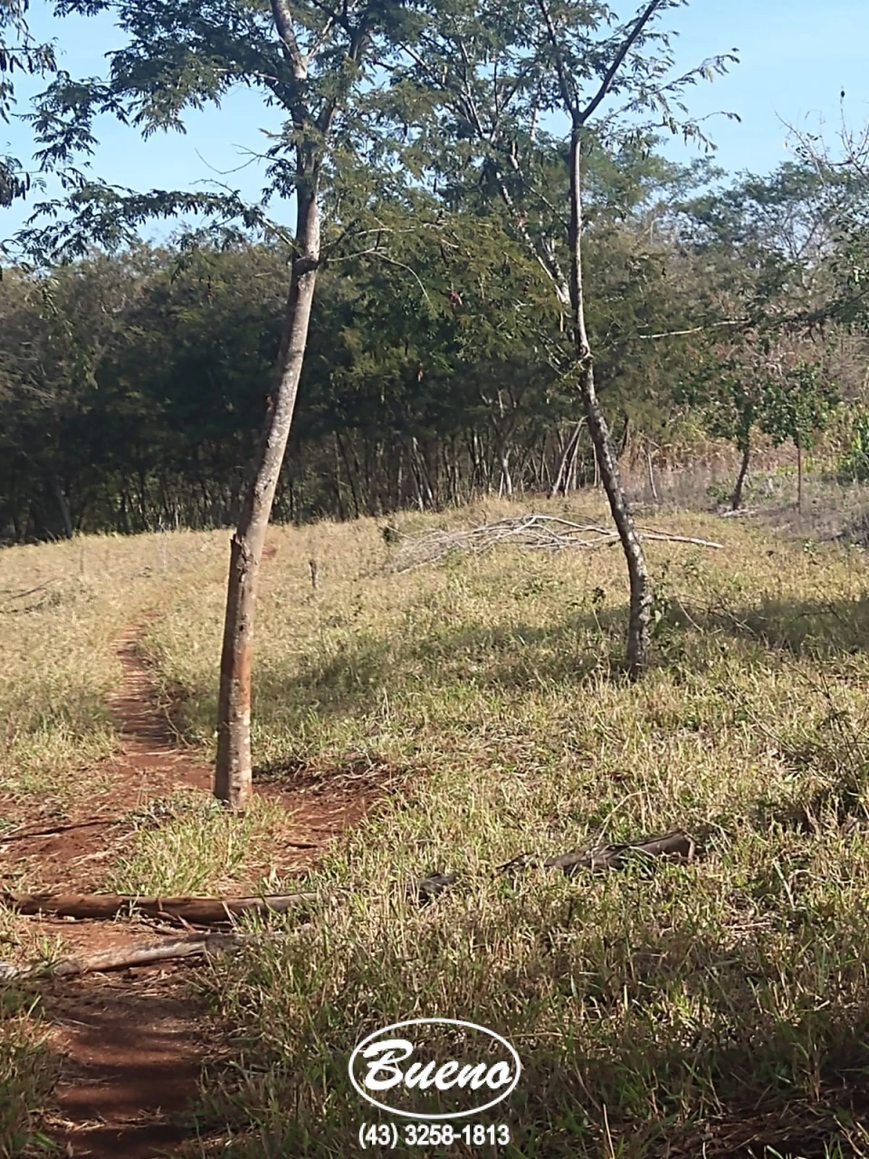 Imagens do imóveis 30 Mil Metros Ribeirão Jacutinga