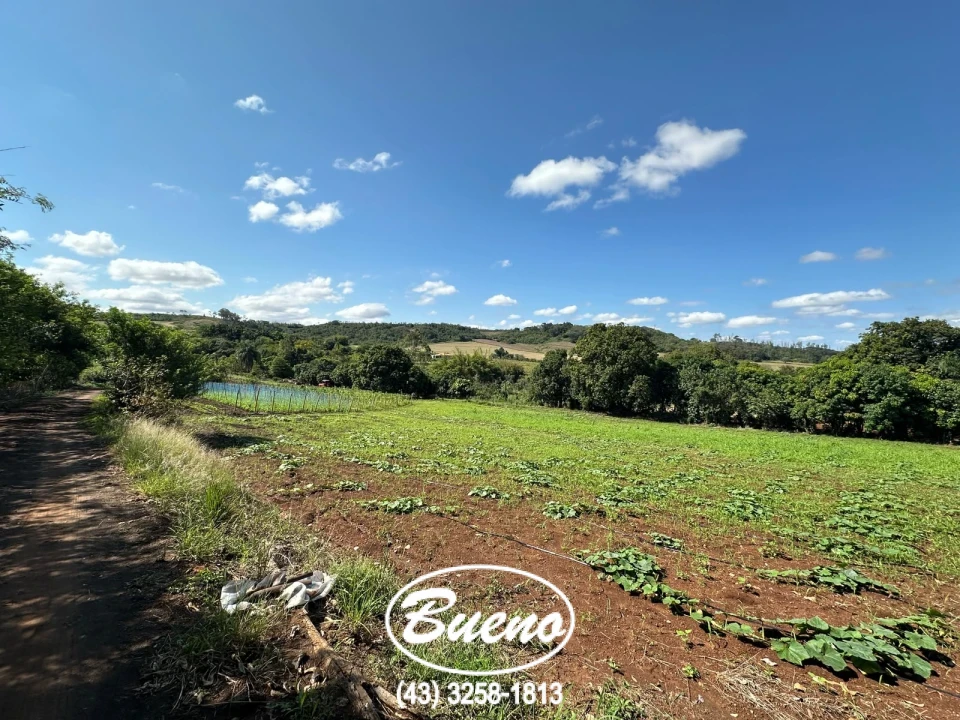 Vende Chácara Frente Para BR-369