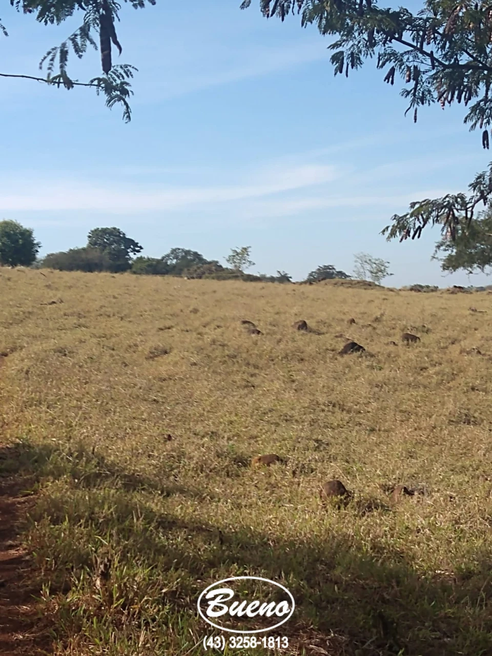 Imagens do imóveis 30 Mil Metros Ribeirão Jacutinga