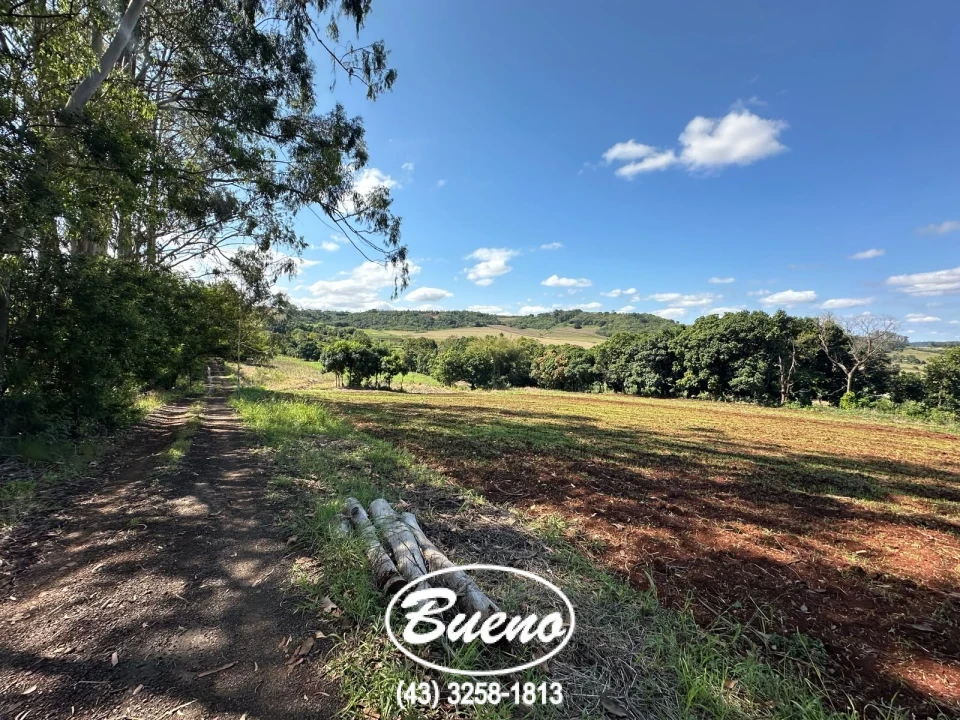 Vende Chácara Frente Para BR-369