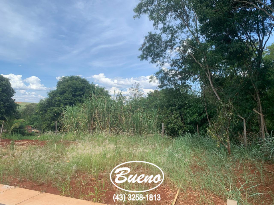 Vende Chácara Molhada de 2.266 Metros Imagens do imóveis Vende Chácara Molhada de 2.266 Metros