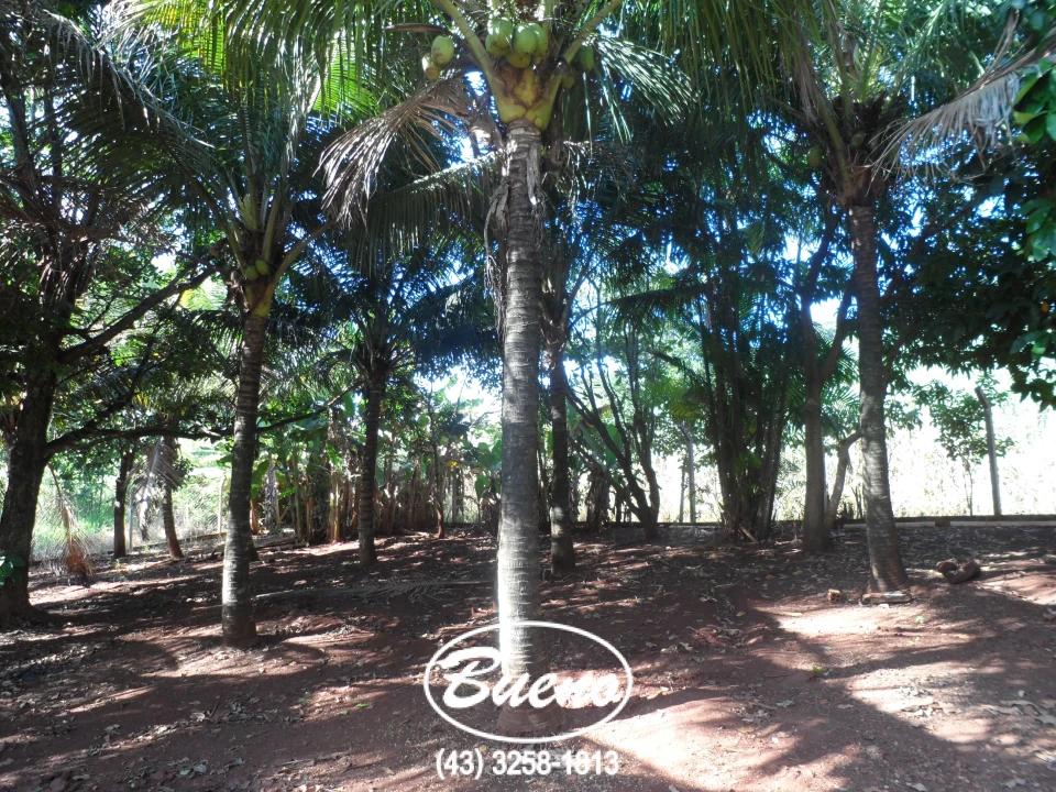 Imagens do imóveis Vende Chácara Gleba Jacutinga