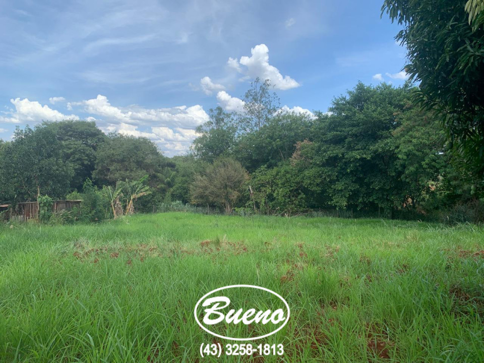 Vende Chácara Molhada de 2.266 Metros Imagens do imóveis Vende Chácara Molhada de 2.266 Metros