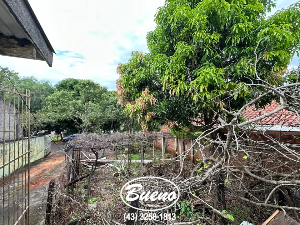 Imagens do imóveis Venda Casa no Boa Esperança