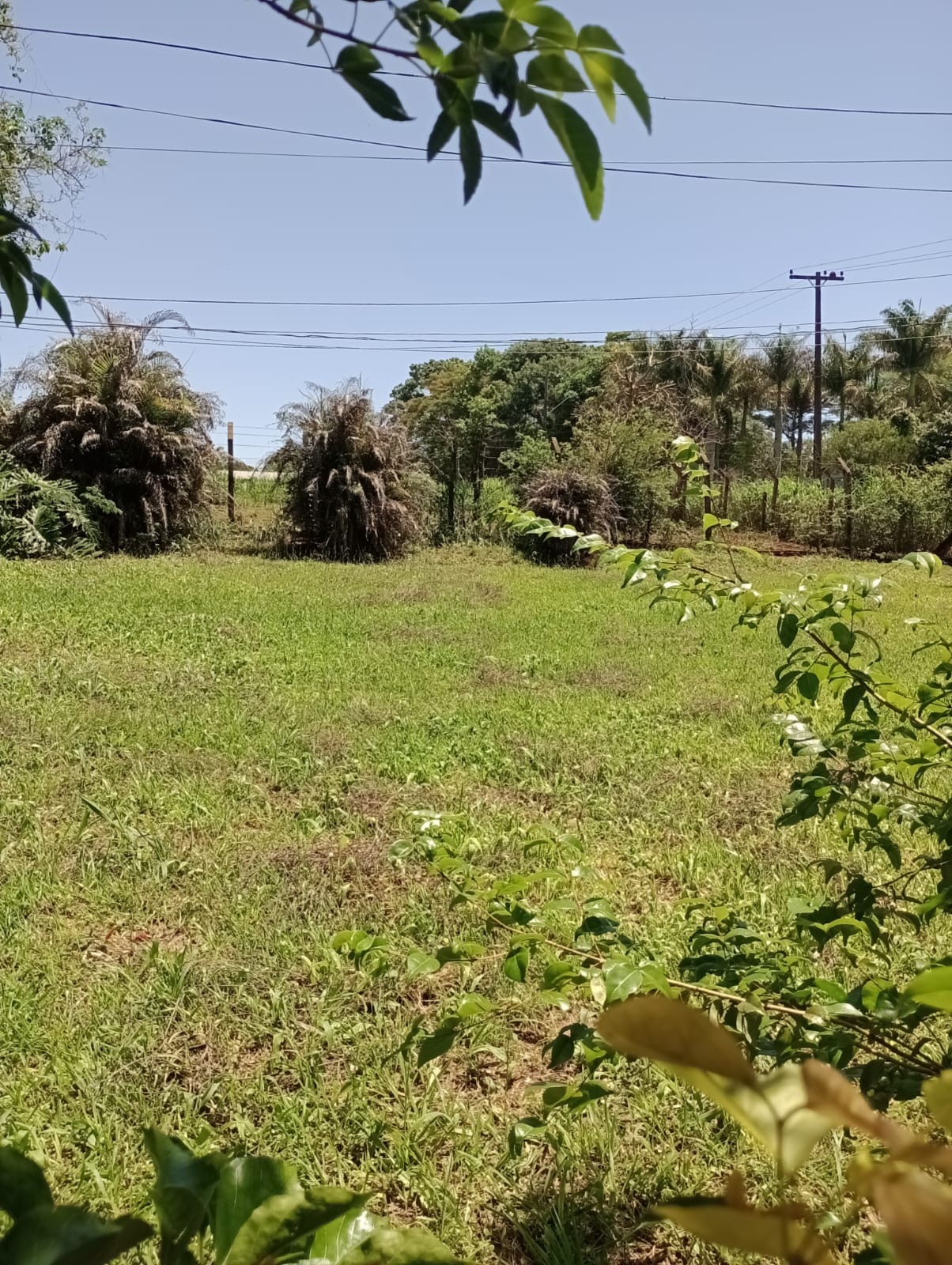 Chácara a 10 minutos do Shopping Catuaí