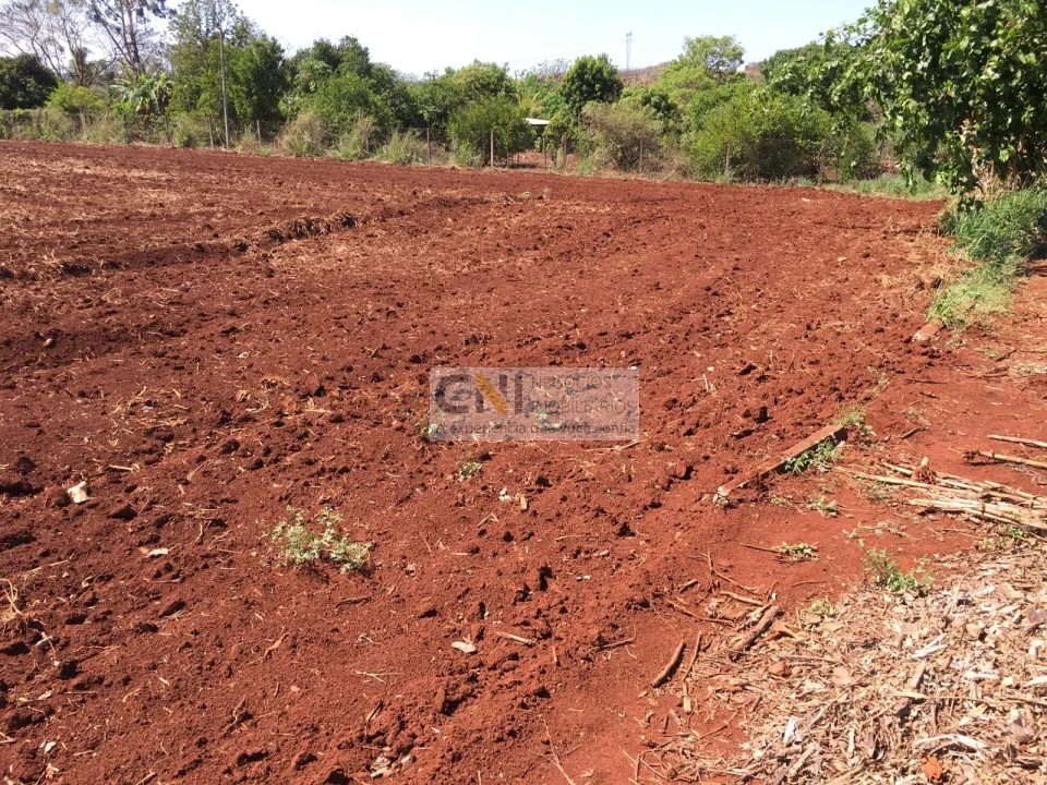 Imagens do imóveis chacara fazenda da nata Londrina