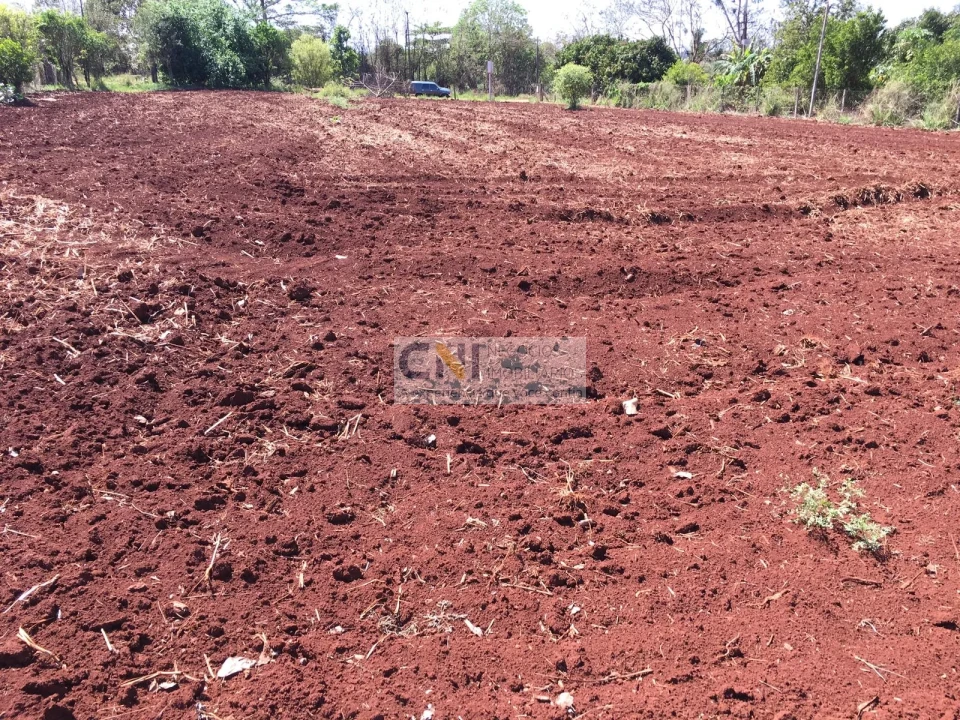 Imagens do imóveis chacara fazenda da nata Londrina
